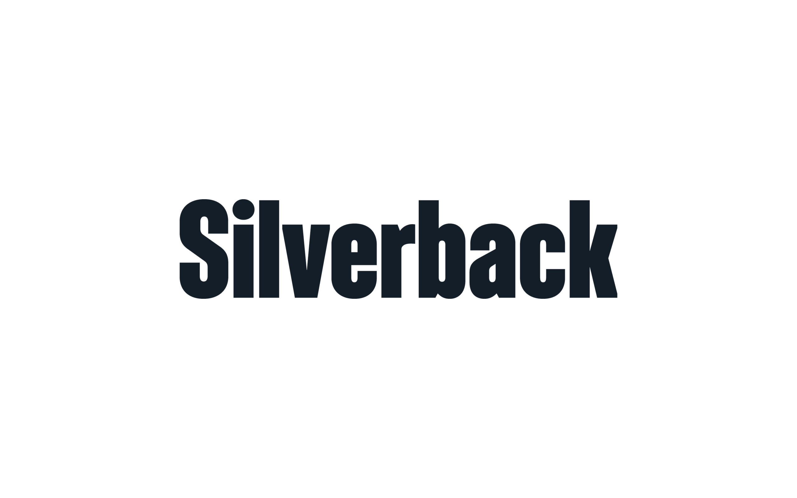 Creative logotype; Silverback Concrete.