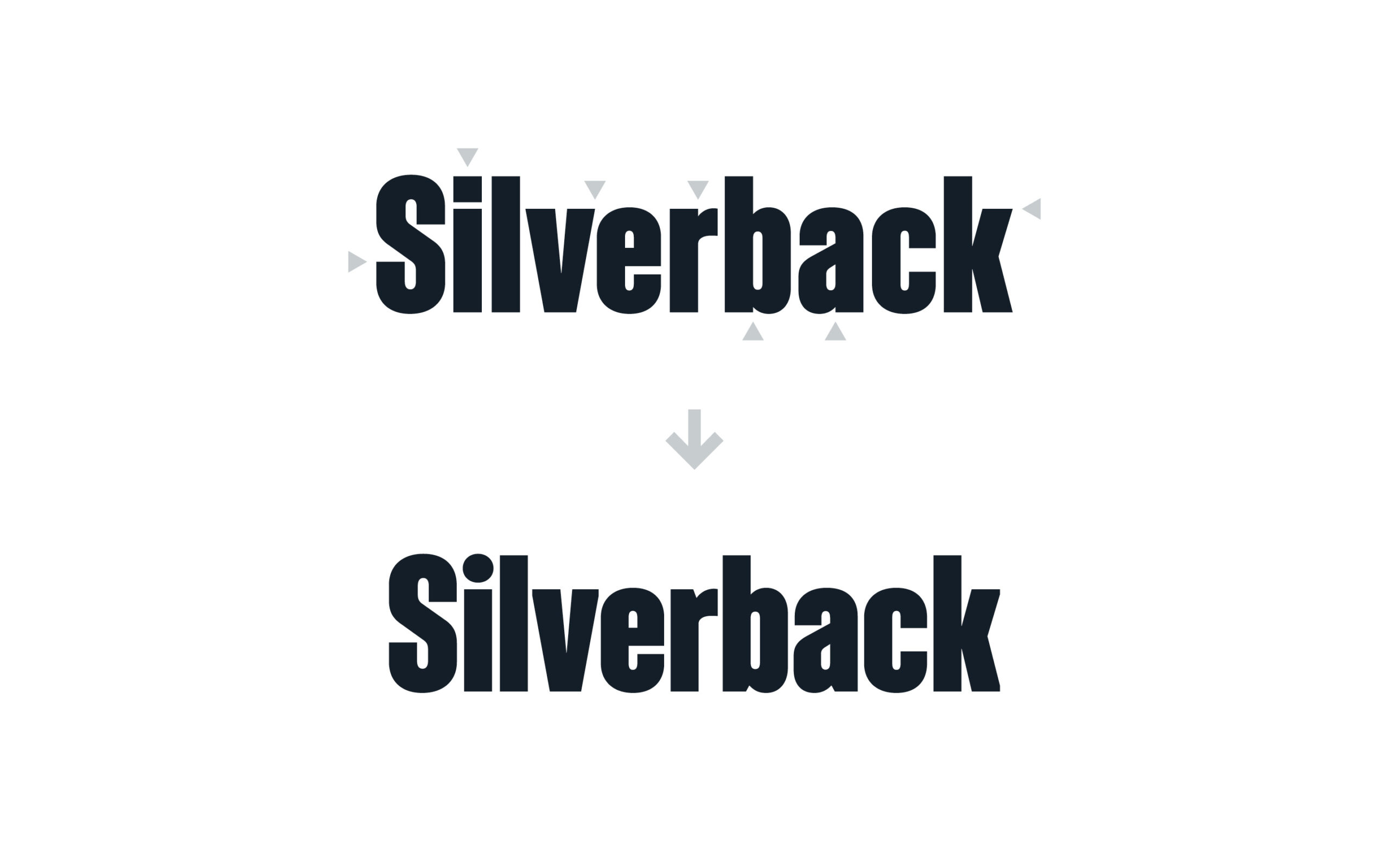 Custom typography; Silverback Concrete.
