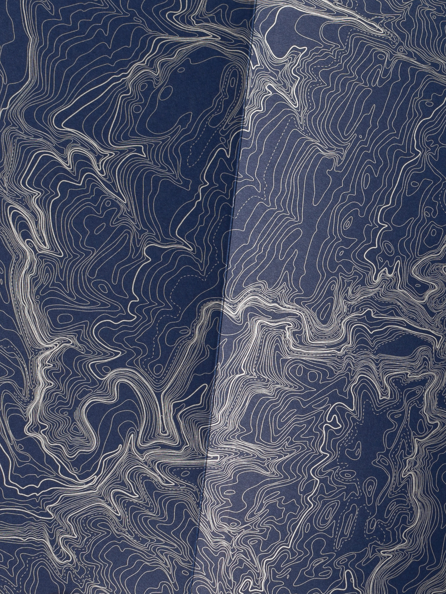 Artistic topography lines.